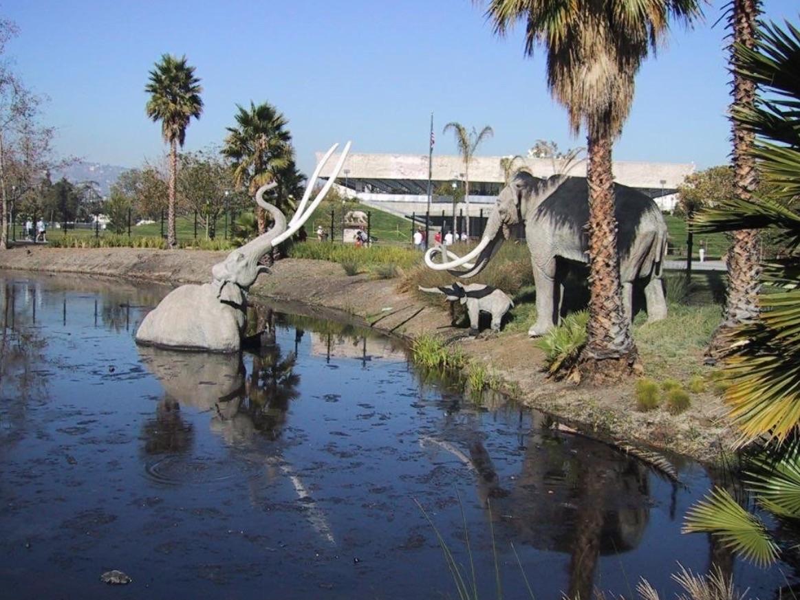 Cover image of this place La Brea Tar Pits