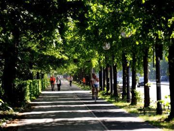 Cover image of this place Tiergarten