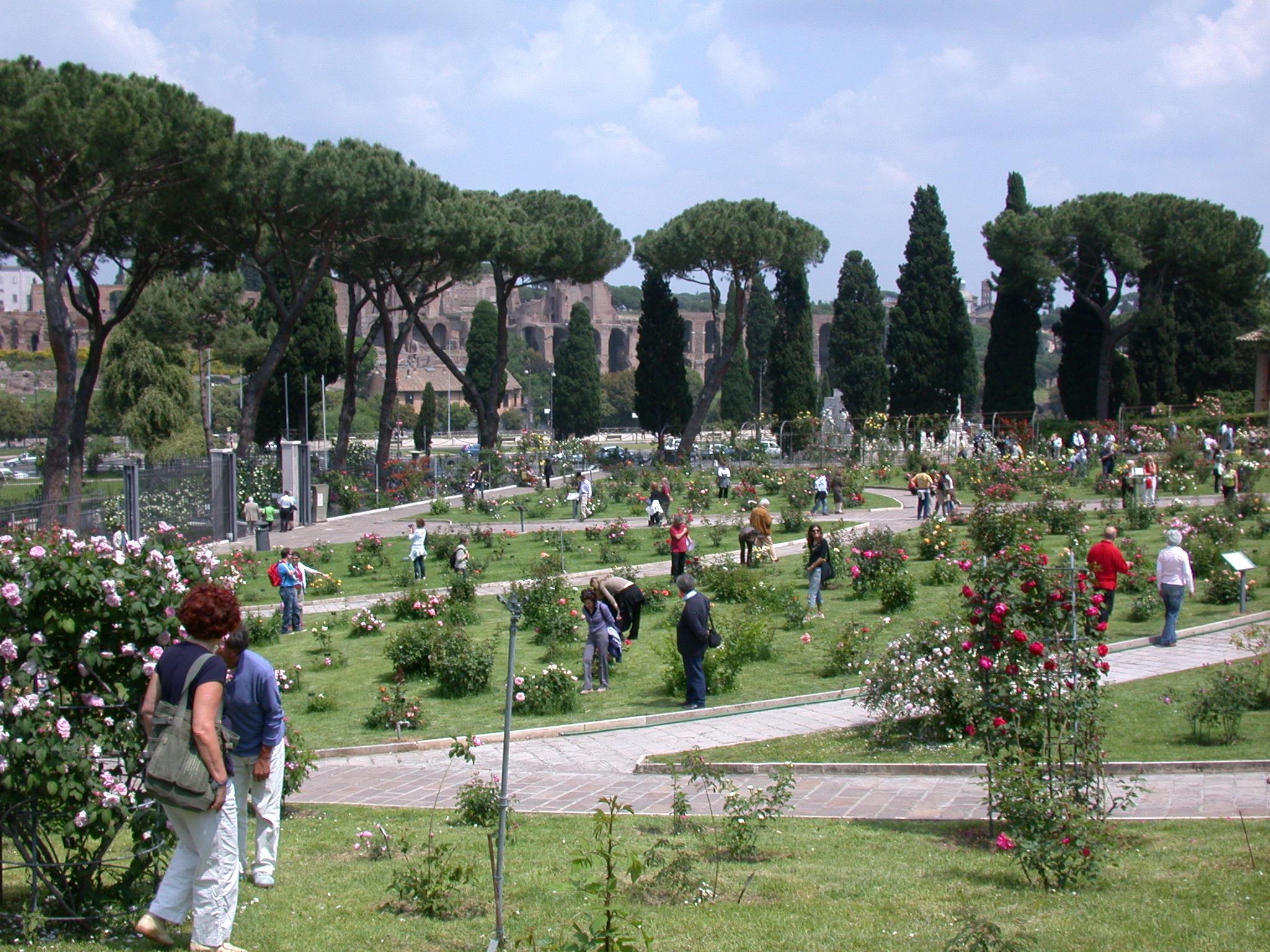 Cover image of this place Roseto Comunale