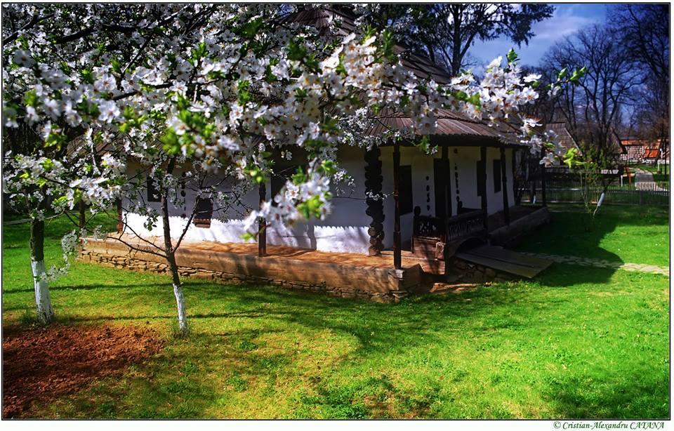Cover image of this place Muzeul Satului 