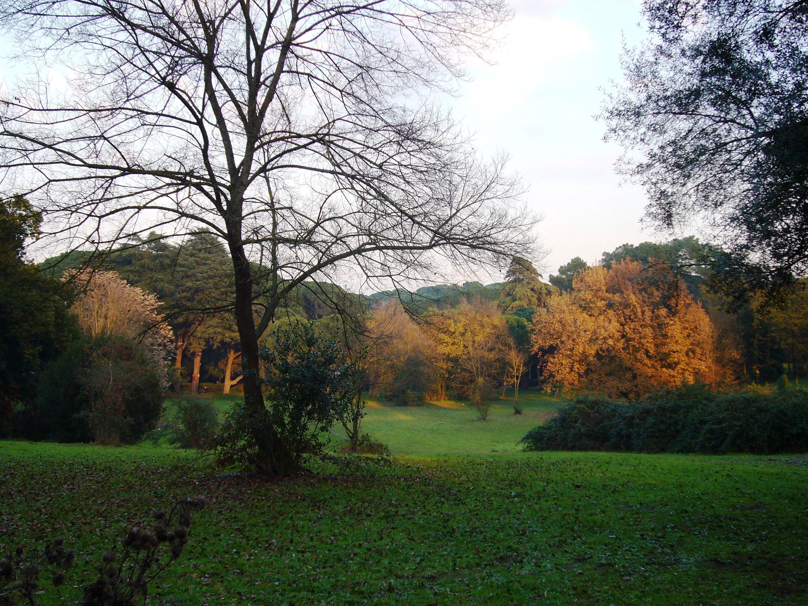 Cover image of this place Villa Ada