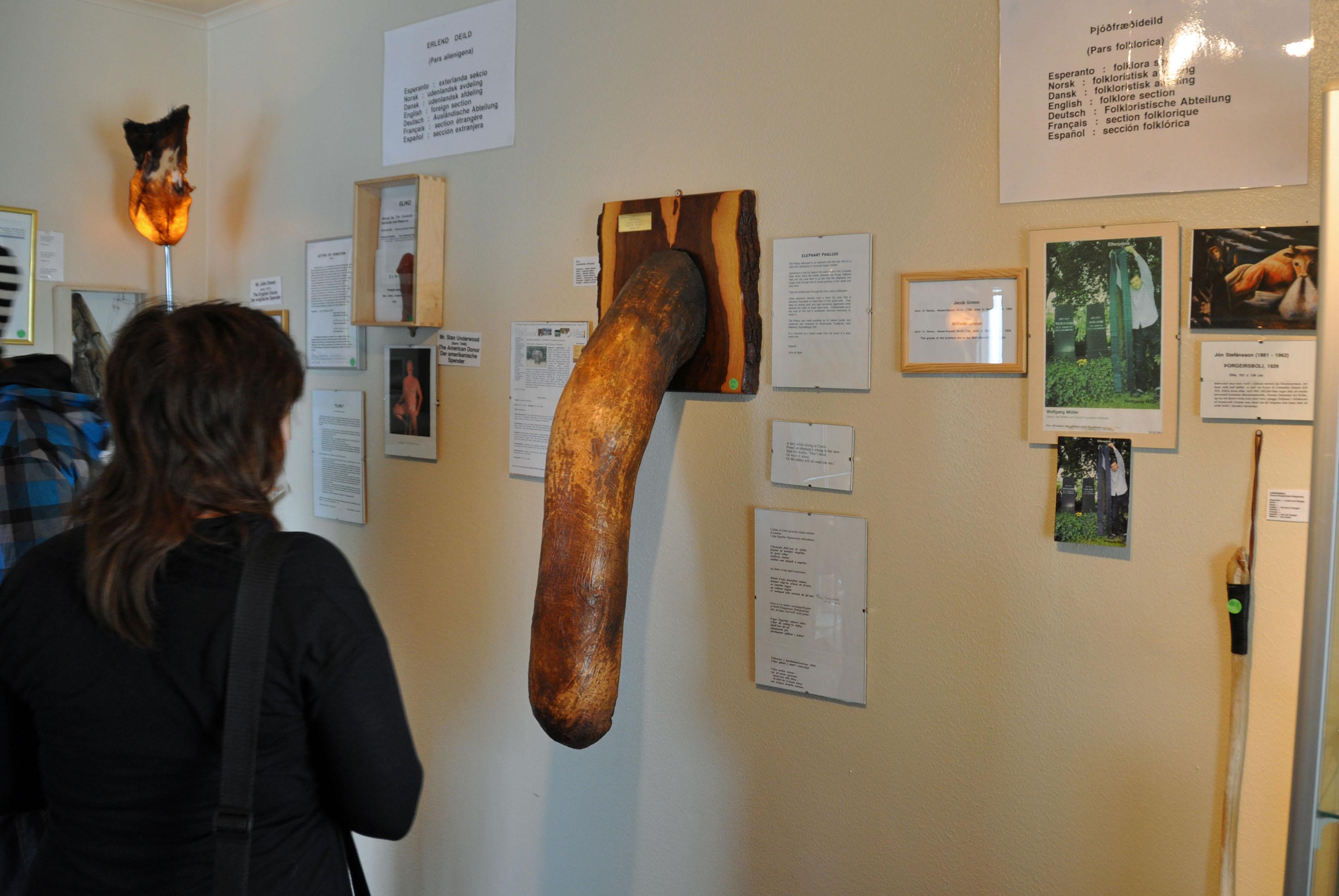 Cover image of this place The Icelandic Phallologic Museum