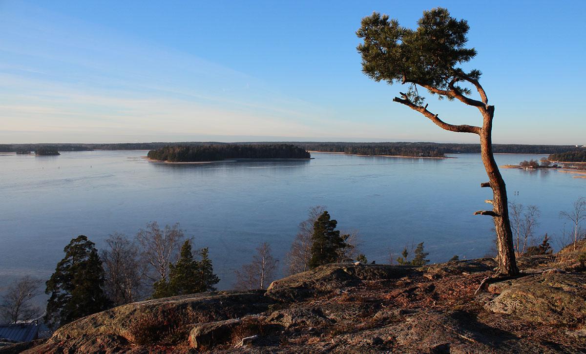 Cover image of this place Kasavuori