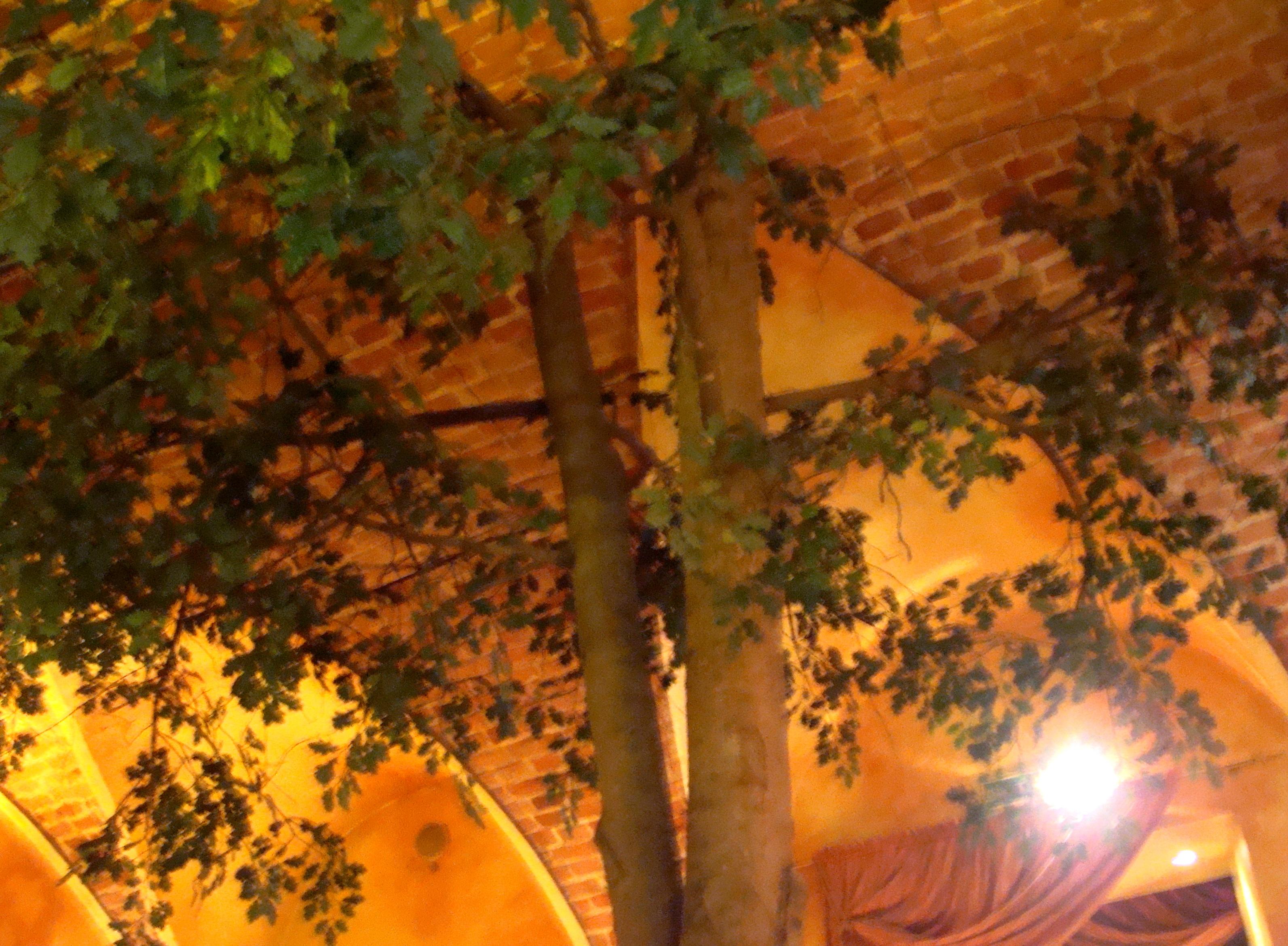 Cover image of this place Freski Café (Фрэскi)