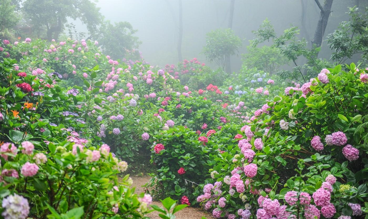 Cover image of this place Taejongsa (Temple)