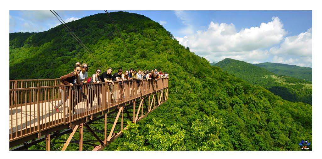 Cover image of this place Okatse Canyon | ოკაცეს კანიონი