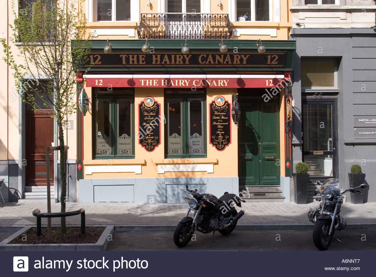 Cover image of this place The Hairy Canary