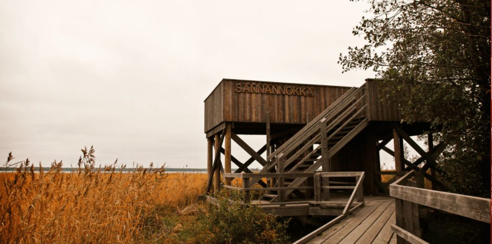 Cover image of this place Yyteri's Bird Watching Opportunities