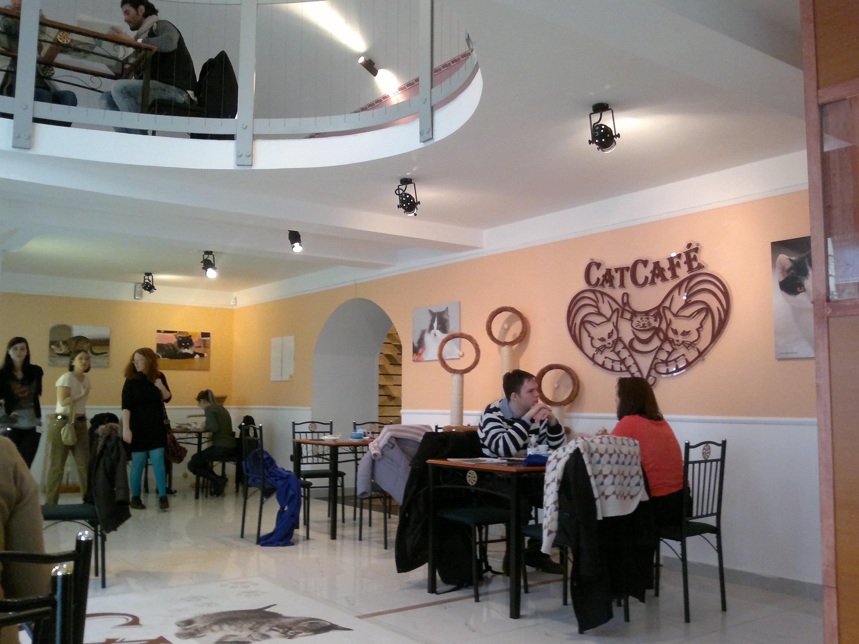 About Us – Cat Café Budapest