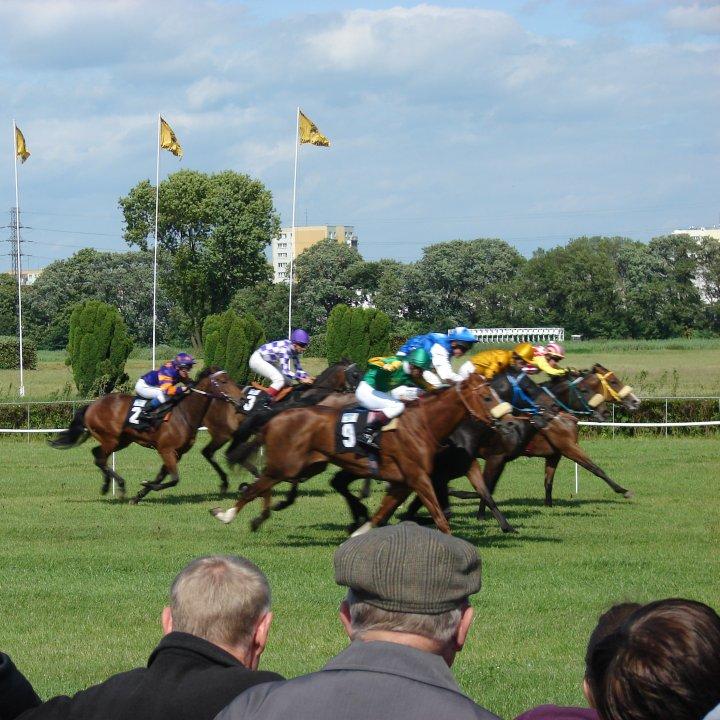 Cover image of this place Horse Races in Służewiec