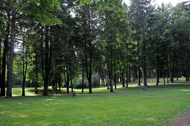 Cover image of this place Vingis Park