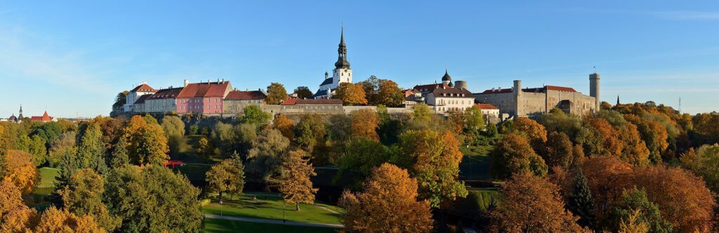 Top 5 Burger Joints in Tallinn