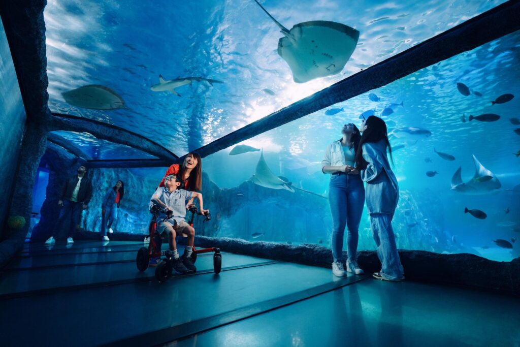 Glass tunnel and marine life at SEA LIFE aquarium in Sydney