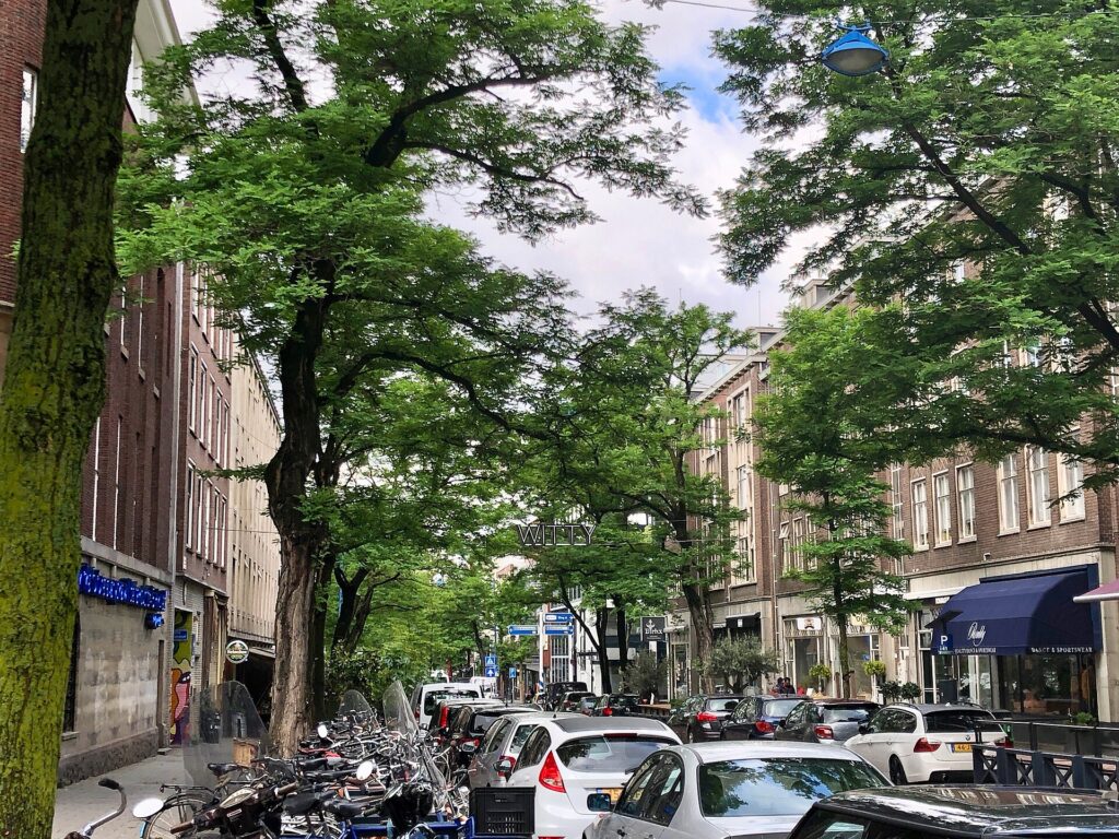 Witte de Withstraat, Rotterdam 2019