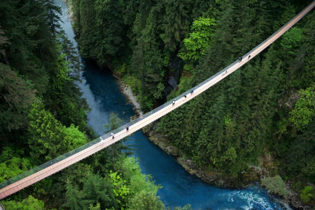 The Capilano Suspension Bridge over a forest canyon near Vancouver
