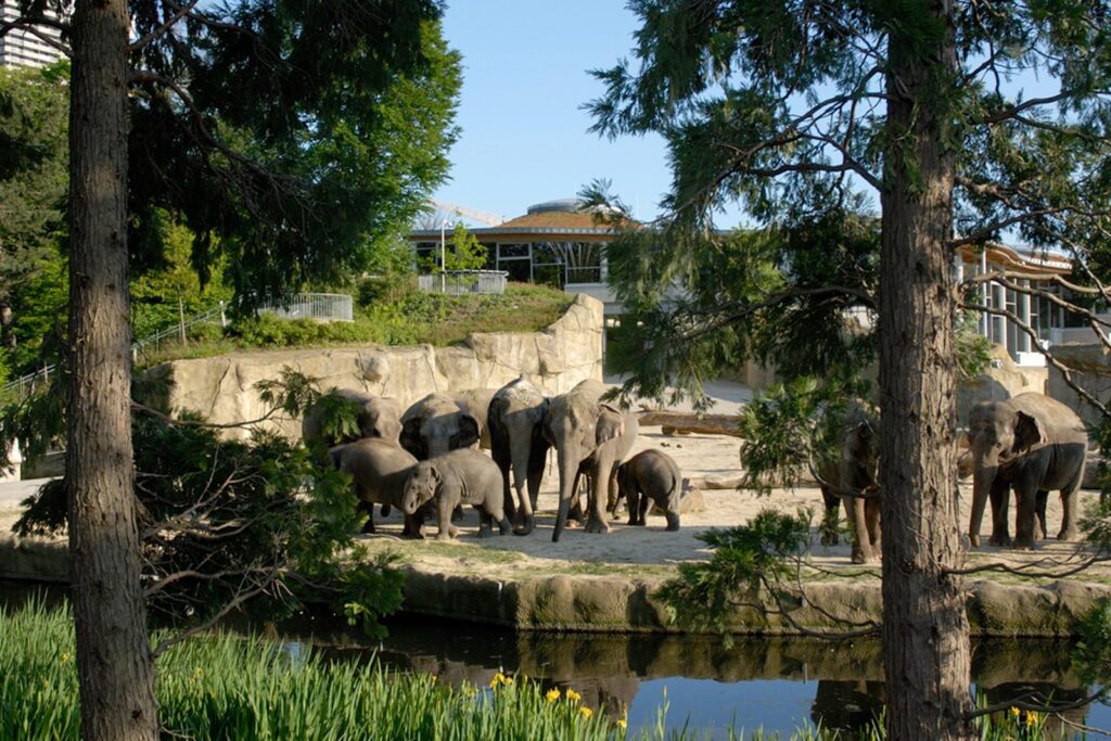 Animals at Cologne Zoo and Aquarium
