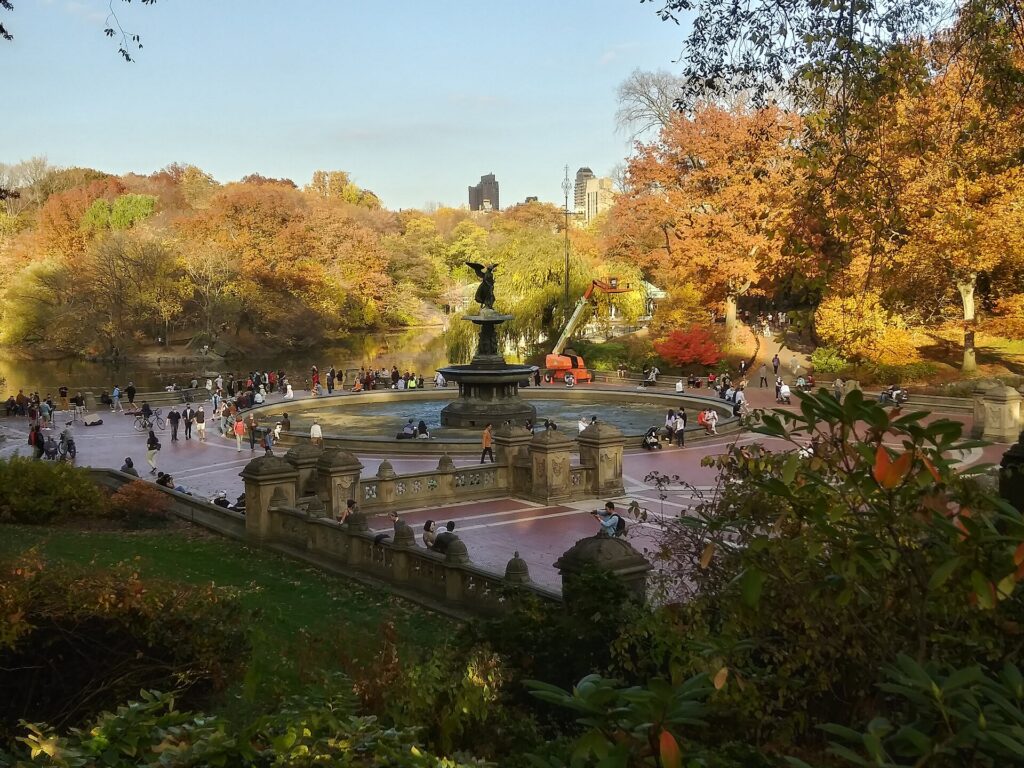 Central Park Guided Walking Tour