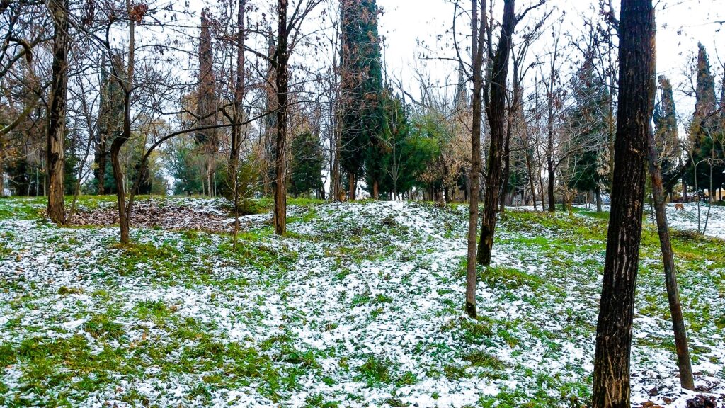 Grand Park of Tirana 2017 2