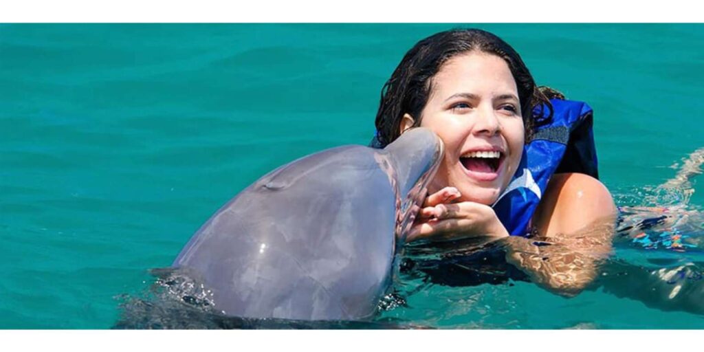 Dolphin encounter at a Punta Cana marine park