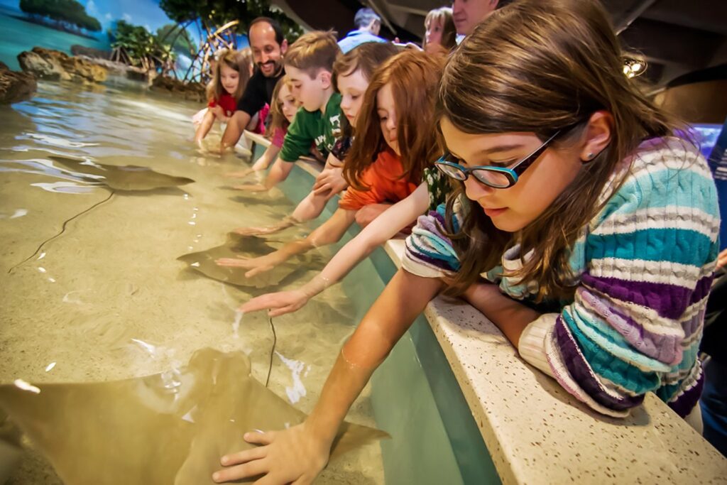 New England Aquarium Giant Ocean Tank in Boston Massachusetts