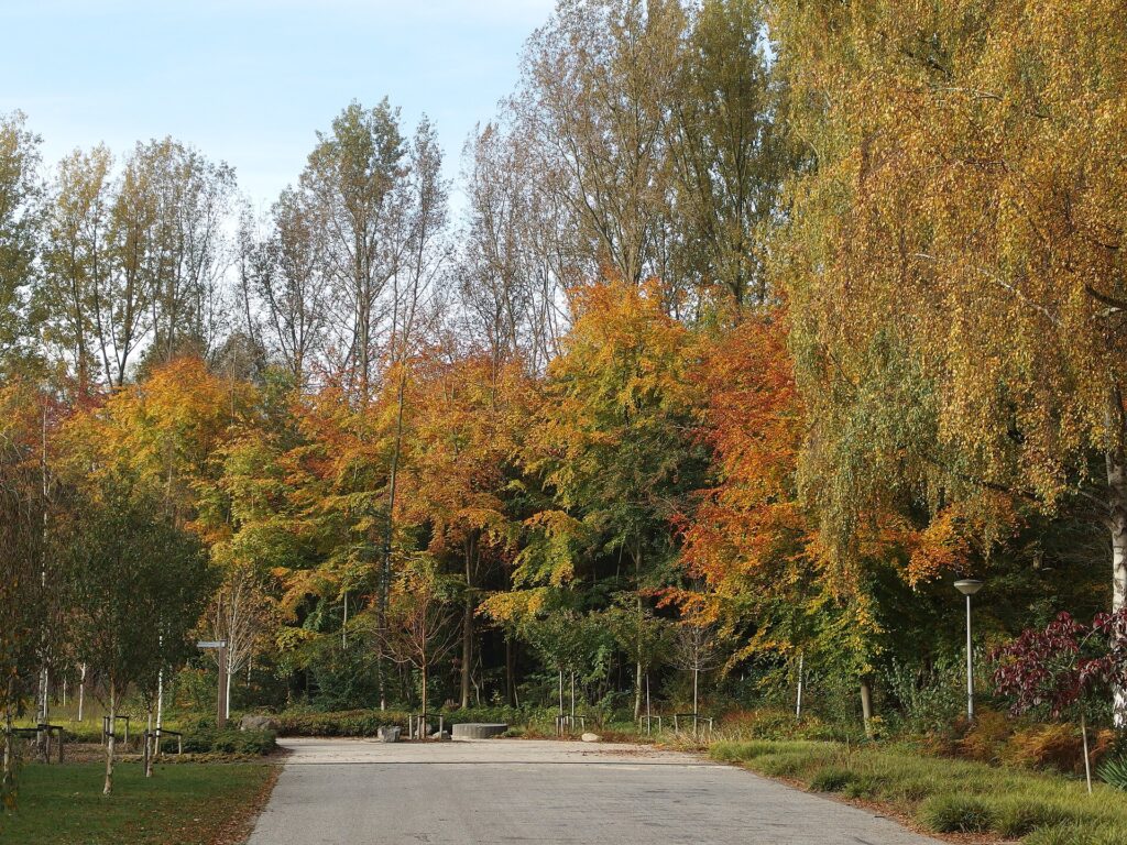Spa Zuiver