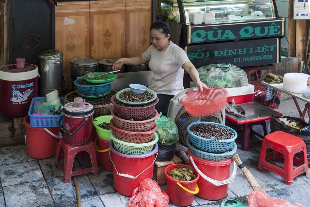 Hanoi Street Food Vendors