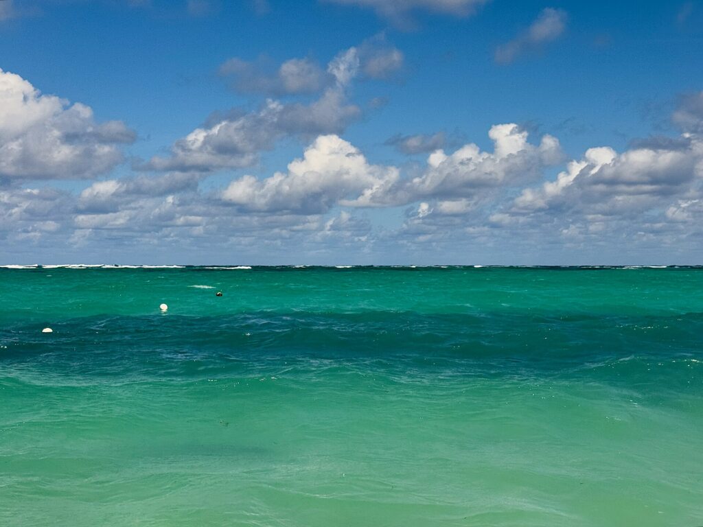 2024 - Bávaro Beach - 44