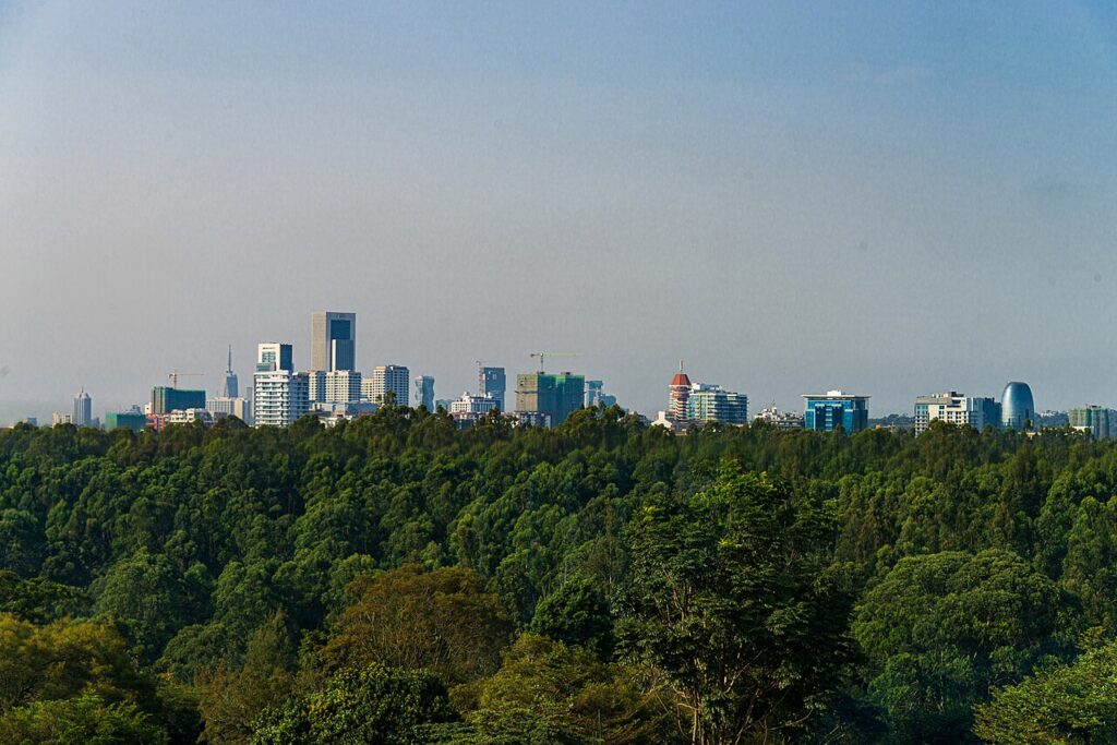 Best Things to Do in Nairobi: A Local’s Guide