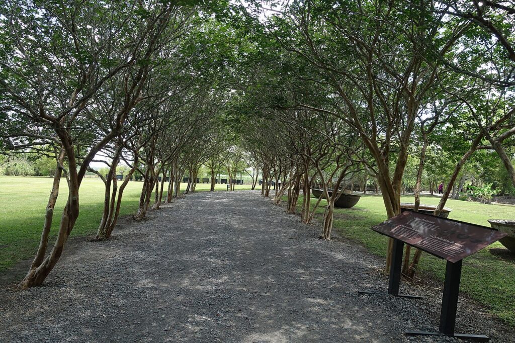 Tree-lined path at Whitney Plantation in Wallace, Louisiana