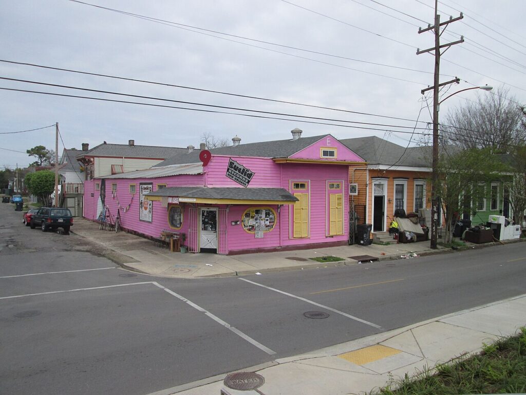 Euclid Records storefront in the Bywater neighborhood