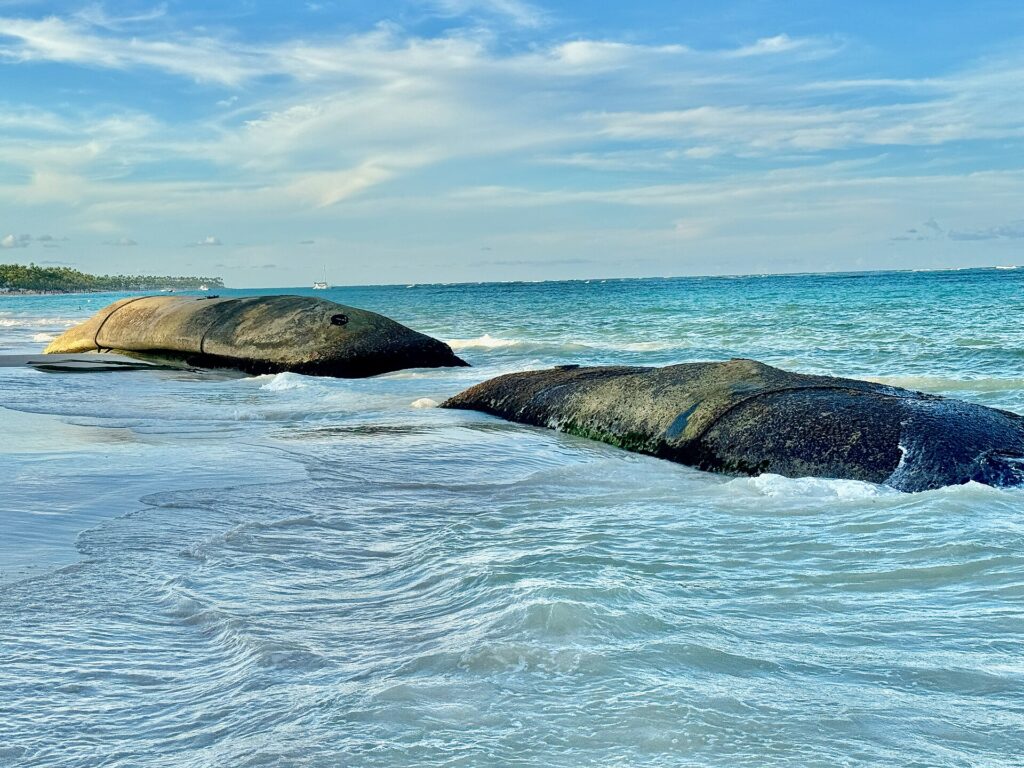 2023 - Playa Bavaro Punta Cana - 14