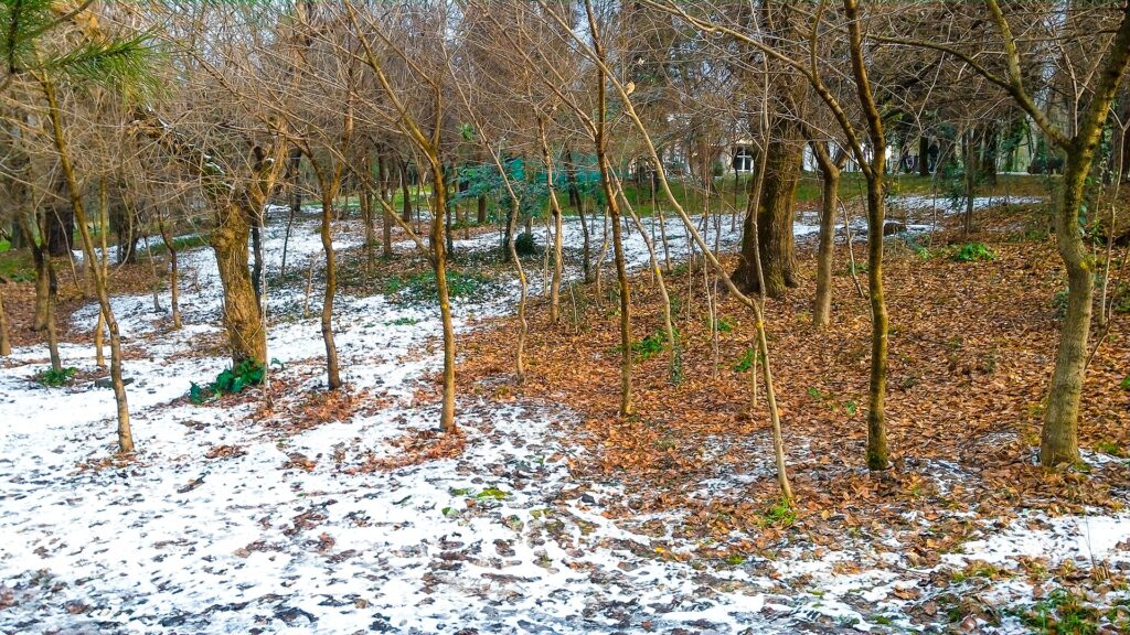 Grand Park of Tirana 2017