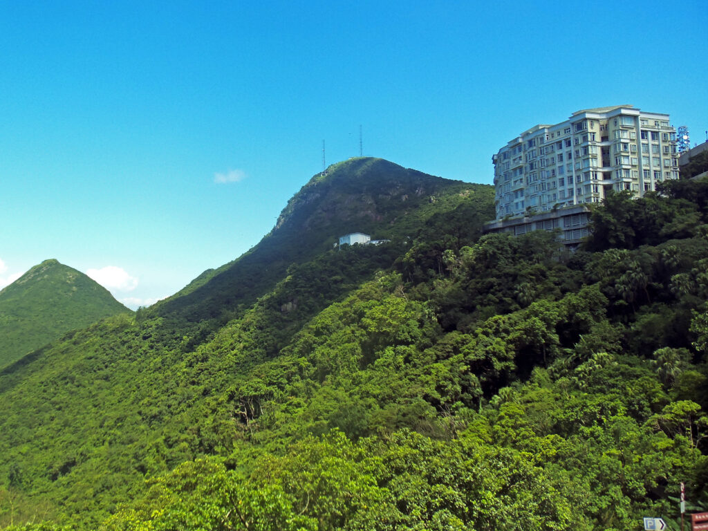 The Local Morning: Hiking The Peak Before the Crowds