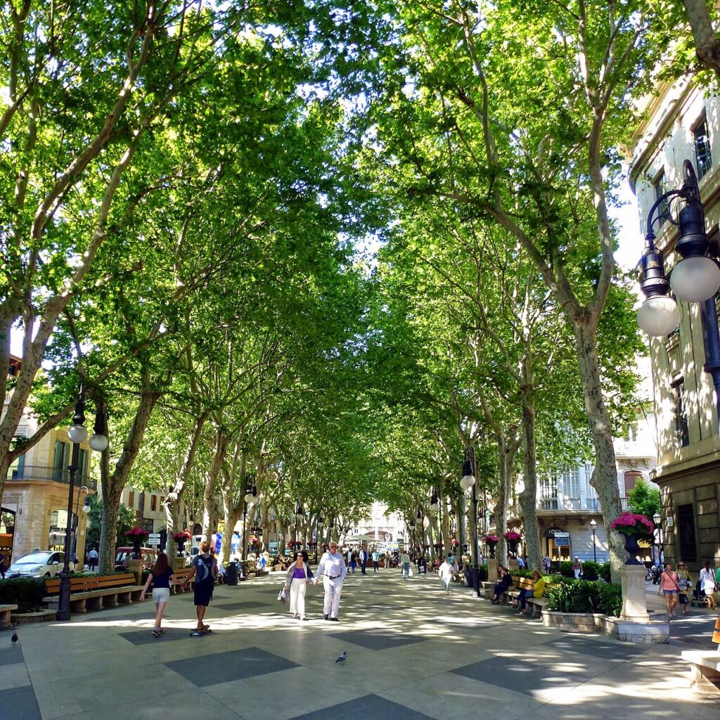 Passeig del Born, Palma de Mallorca