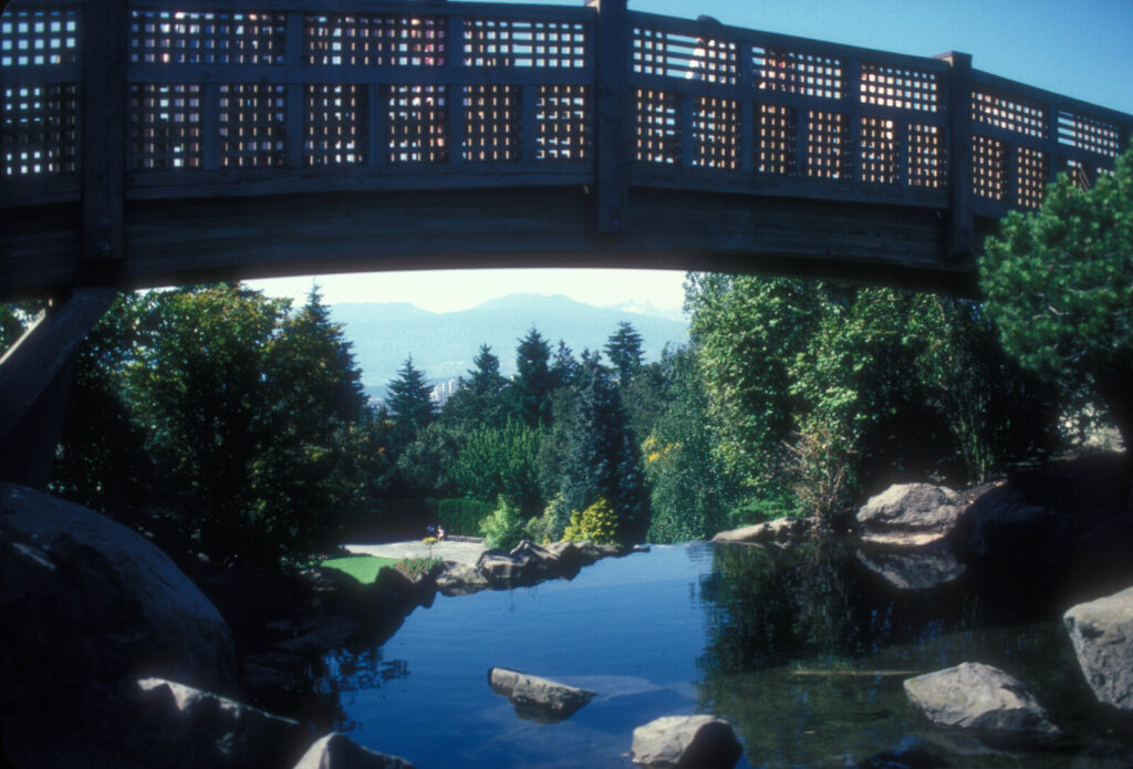 Wooden bridge over a garden pond in Queen Elizabeth Park, Vancouver