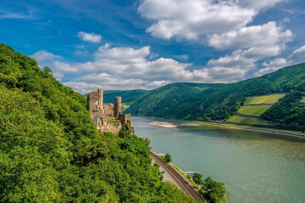 Rhine Valley vineyards and castles on a day trip from Frankfurt
