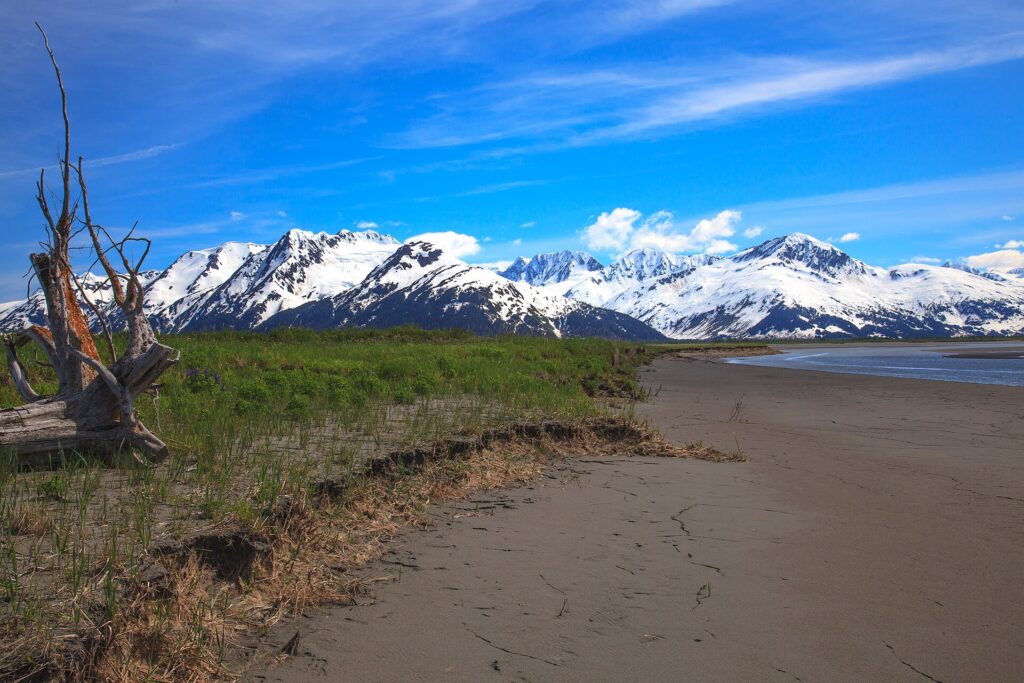 Turnagain Arm