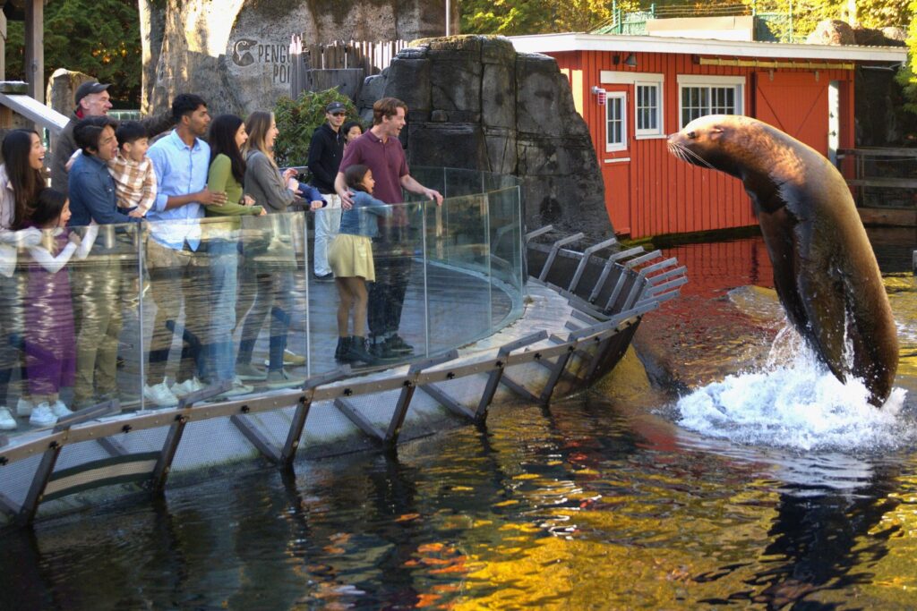 Marine life at the Vancouver Aquarium in Stanley Park