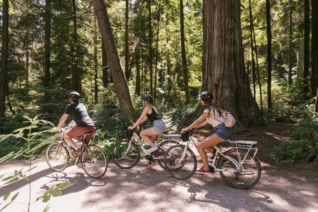Cyclists on an e-bike tour along the Vancouver seawall