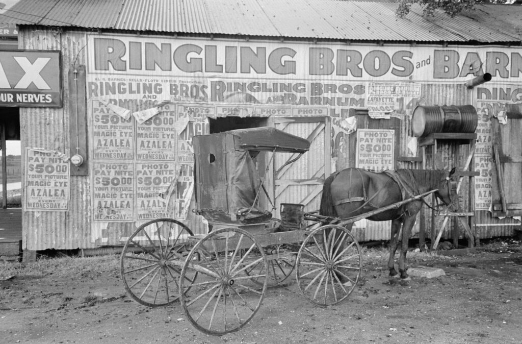 Vermilionville Living History
