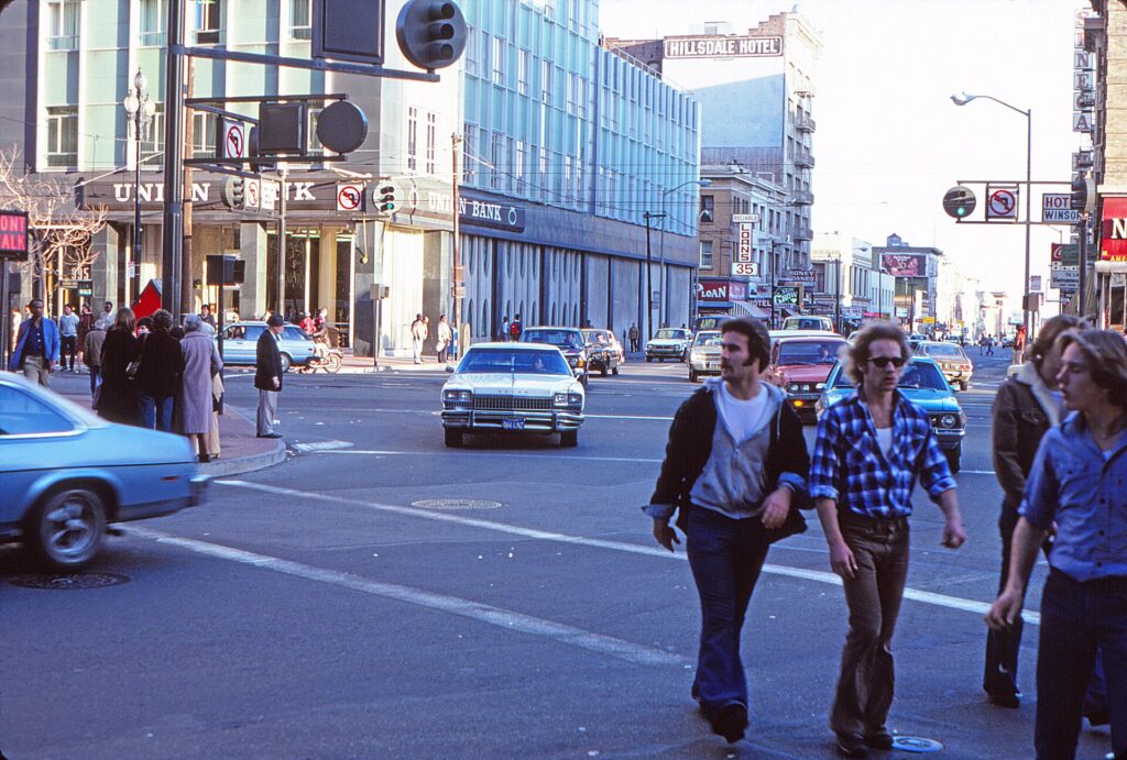 Wild SF Tours