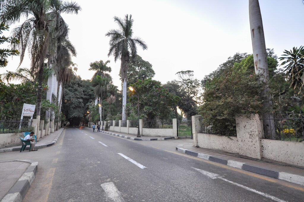 A leafy street on Zamalek island in Cairo