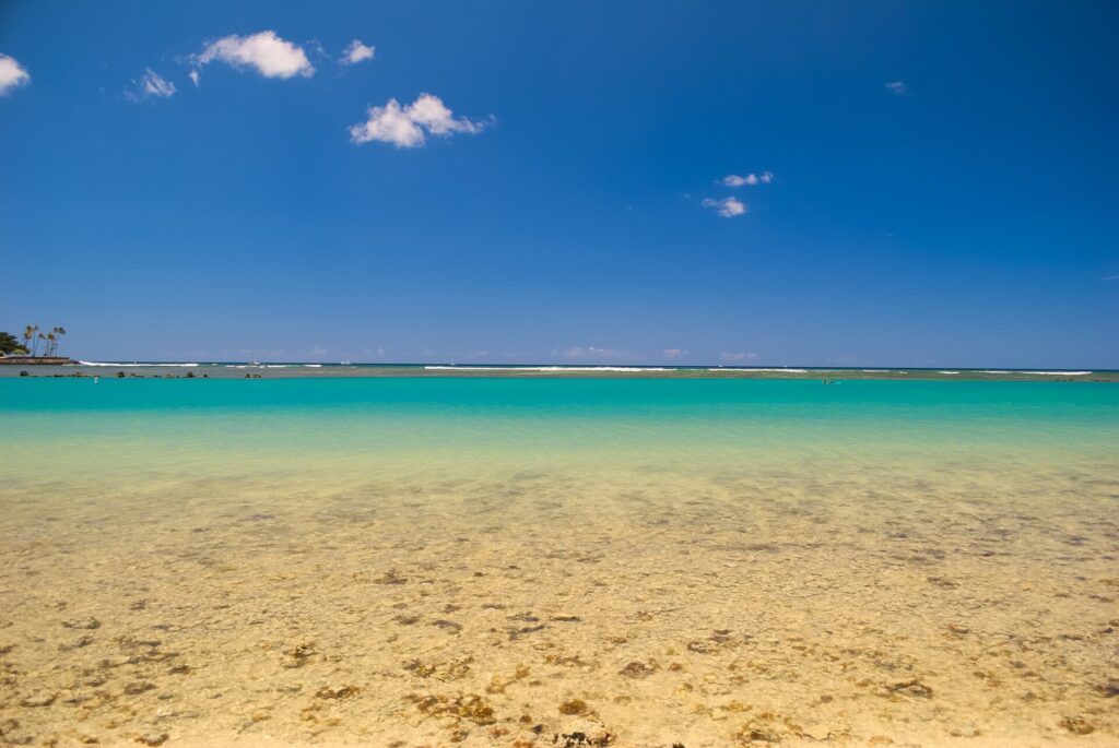 Ala Moana Regional Park