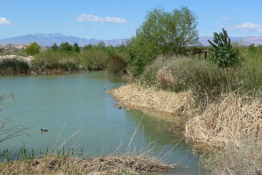 Clark County Wetlands Park