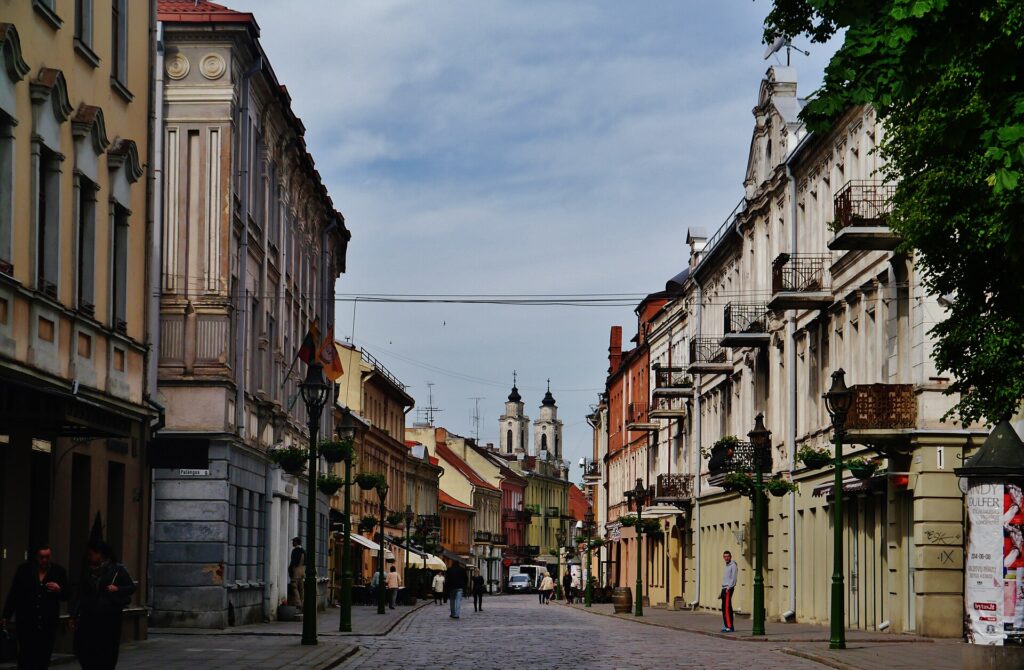 Rojaus molis