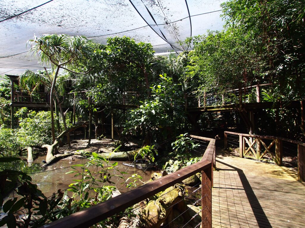 Wildlife Habitat Port Douglas