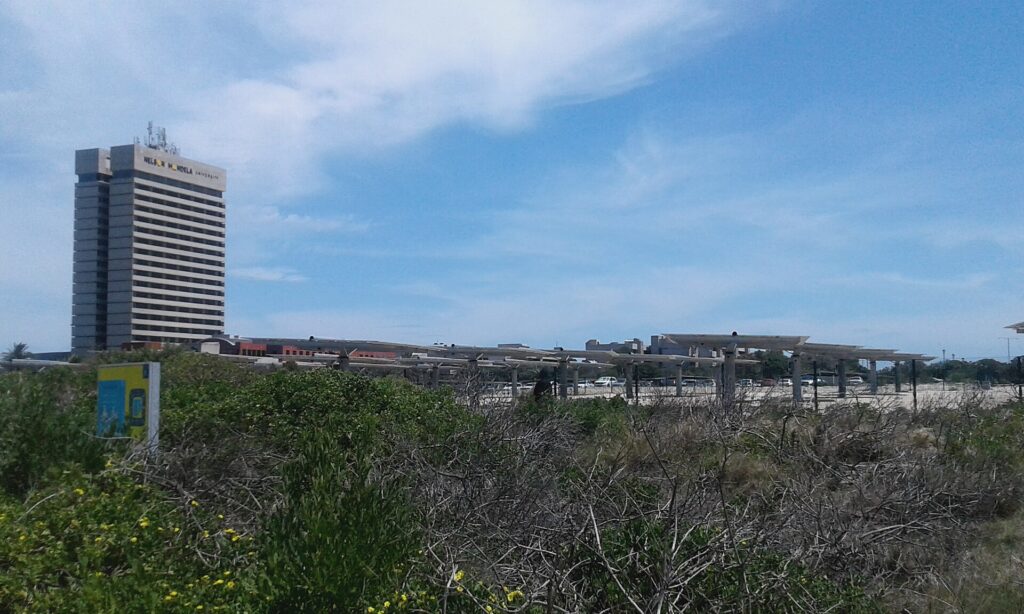 Masinyusane Development Organization