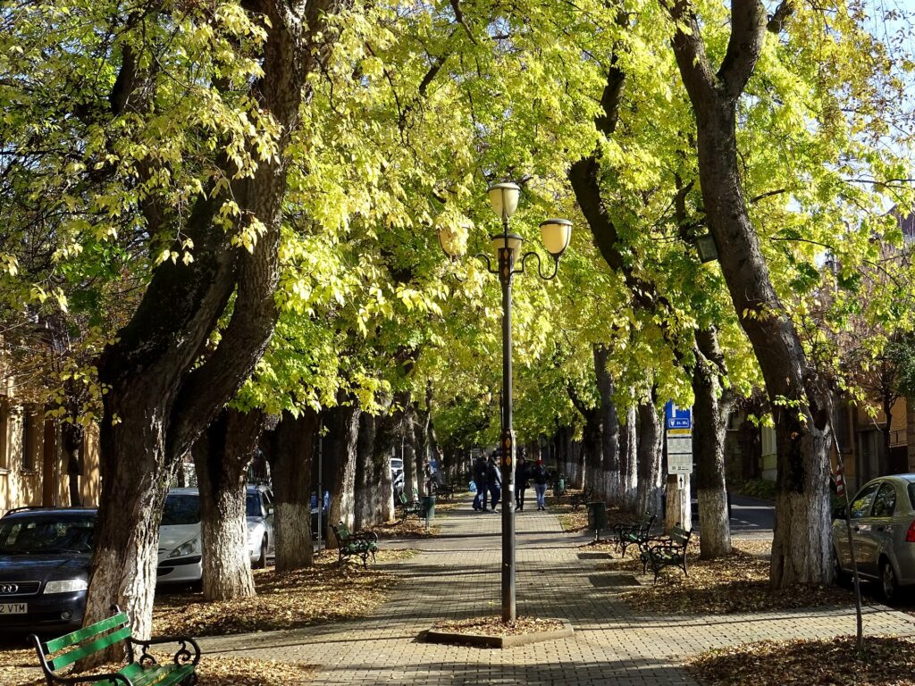 Fundatia Comunitara Mures