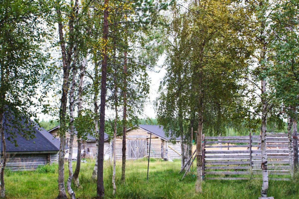 KavaNoita