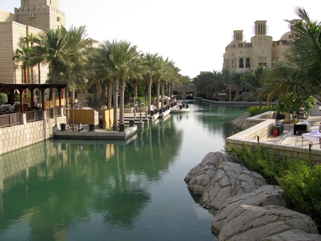Dubai Turtle Rehabilitation Project